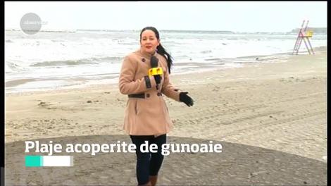 După ce s-a topit zăpada, plajele din România au rămas acoperite cu gunoaie