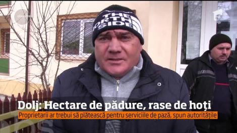 În comuna Apele Vii, au mai rămas doar 20 de ha de pădure, din 2000