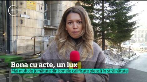 Bonele instruite sunt pe cale de dispariţie