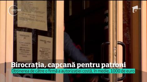 Până să ajungi patron în România, te mănâncă birocraţia