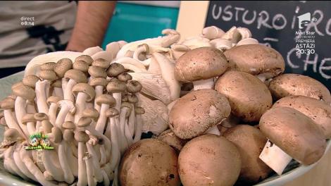 Vine, vine primăvara! Şi odată cu ea şi "CIUPERCUŢELE SOMNOROASE", o reţetă pe care nu ai voie să o ratezi