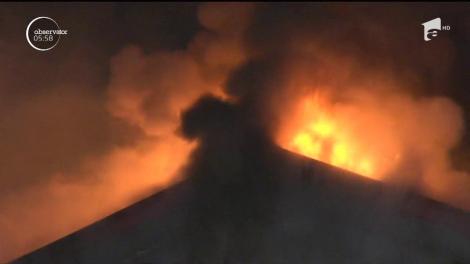 Pompierii au intervenit cu nouă autospeciale pentru stingerea unui incendiu de la Bragadiru