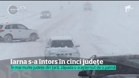 Iarna s-a întors în forţă în cinci judeţe din sud-vestul ţării
