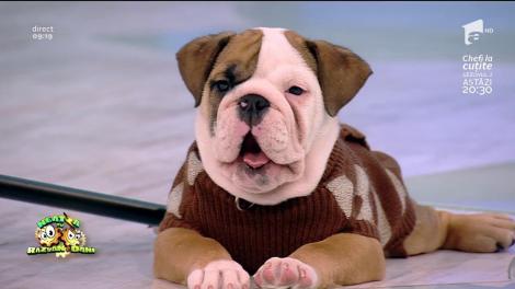 Cristina Strecopitov - trucul cu sfoara magică