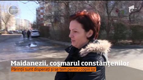 Zeci de câini au băgat spaima într-un cartier constănțean