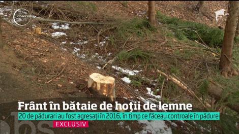 Un angajat al unui ocol silvic din Dâmboviţa a ajuns la spital după ce a fost bătut de hoţii de lemne