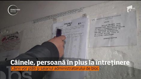 Căinele, persoană în plus la întreținere. Ei vor plăti și pentru țevile sparte la subsolul blocului