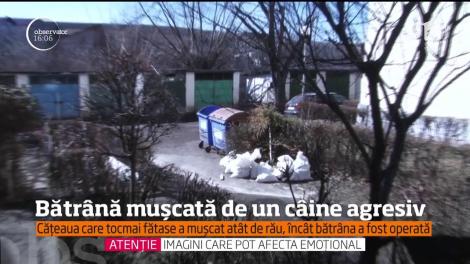 Bătrână mușcată de un câine agresiv