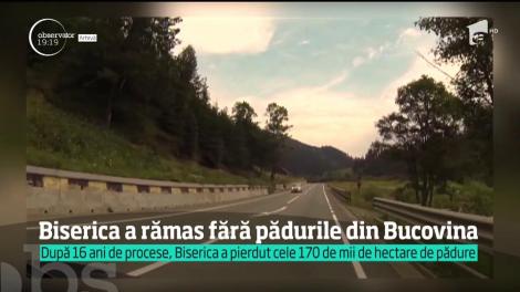 Biserica a pierdut procesul cu Romsilva! Regia Naţională a pădurilor a câştigat cele aproape 170 de mii de hectare de pădure din judeţul Suceava