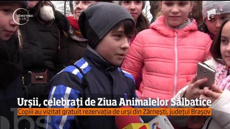 Urşii din rezervaţia de la Zărneşti, celebraţi de Ziua Animalelor Sălbatice