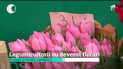 Mâncăm tot mai multe legume din import, dar cumpărăm flori din România. Legumicultorii de lângă Bucureşti s-au reprofilat