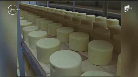 Mâncăm brânză fără lapte, dar cu uleiuri vegetale