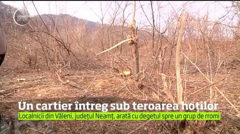 Un întreg cartier al municipiului Piatra Neamţ, sub teroarea hoţilor!