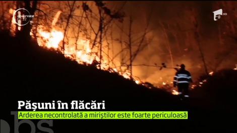 Incendiu de proporţii în judeţul Caraş-Severin. Focul a scăpat de sub control şi din cauza vântului puternic