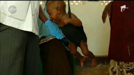 Seceta face ravagii în Somalia! Peste 100 de persoane au murit de foame şi de sete în numai 48 de ore