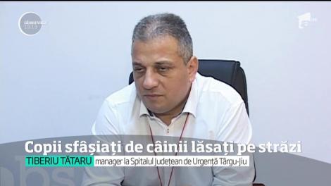 Cazul Denisei, fetiţa de 7 ani din Târgu Jiu desfigurată de un câine fără stăpân, readuce în discuţie problema maidanezilor