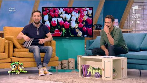 Dani vrea să-și facă o cameră "Fifty shades of Oțil": "Știi ce greu e să faci amor pe două fotolii lipite?”"