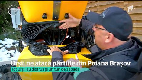 Pârtiile de la Poiana Braşov au fost jumulite bine la final de sezon. De data asta le-au dat atacul urşii