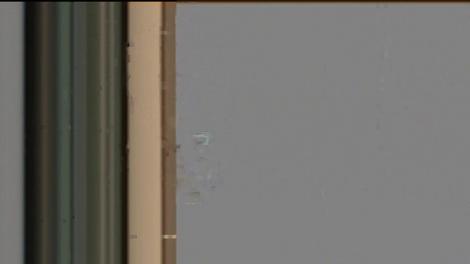 Divorţul dintre Dan Adamescu, mort acum mai bine de o lună şi văduva sa, a început