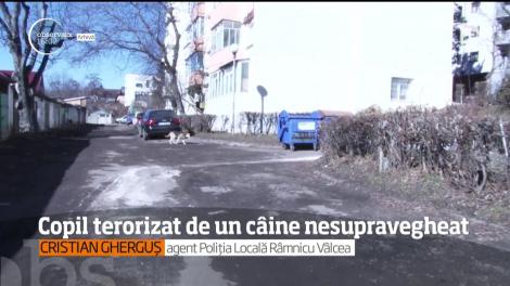 Un băieţel de 6 ani a trecut prin momente cumplite, într-un parc din Rm. Vâlcea. Un a fost fugărit de un câine fără botniţă şi lesă
