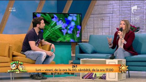 Mirela Boureanu Vaida, despre noul proiect ”2k1”, care urmează să fie LIVE! "Dacă n-o oprim, vorbește până la 2, când îi începe emisiunea!”