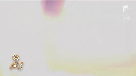 Alege să fii voluntar în programul "Salvatori din pasiune"