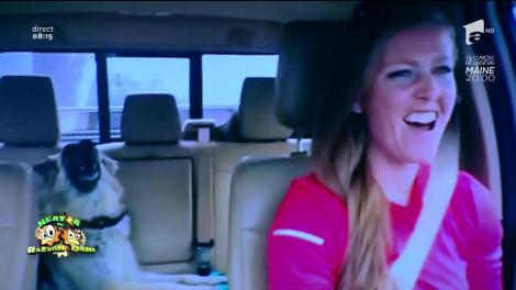 ”My friend”, ăsta e cel mai tare clip cu animale! Uriașul fan cu patru lăbuțe al trupei Queen ”fredonează” refernul melodiei "We are the champions"