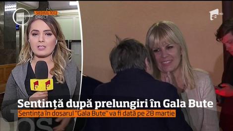 Elena Udrea mai are de aşteptat până va afla dacă va merge sau nu la închisoare