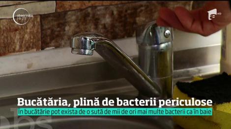În bucătărie, de o sută de mii de ori mai multe bacterii ca în baie!
