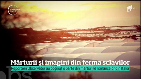 Româncele care lucrează în serele din Ragusa, Italia, recunosc că sunt tratate ca nişte sclave!