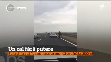 Oamenii, bestii fără suflet pentru animale! Un cal a fost filmat în timp ce era târât de o mașină. Amărâtul  era legat de cârligul de remorcare