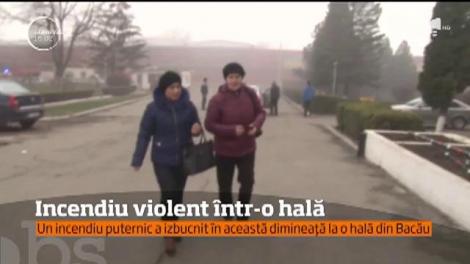 Un incendiu puternic a izbugnit la o hală din Bacău