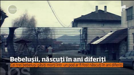 Au apărut informaţii înfiorătoare în cazul celor trei bebeluşi găsiţi morţi, într-un pod din judeţul Bistriţa Năsăud