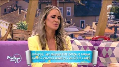 Care sunt cele mai căutate păsări exotice