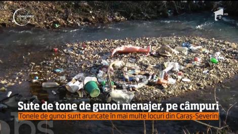 Sute de tone de gunoi menajer au ajuns pe câmpurile, dar şi în albia râului Timiş, în apropiere de Caransebeş!