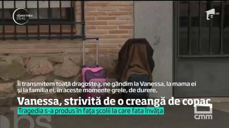 Fetiţă româncă stabilită în Spania, ucisă de o creangă de copac