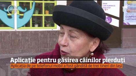 Veste excelentă pentru stăpânii patrupezilor! A fost lansată o aplicaţie pentru cei care îşi pierd animalele de companie