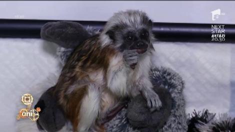 Distracţie la Grădina Zoologică din Băneasa