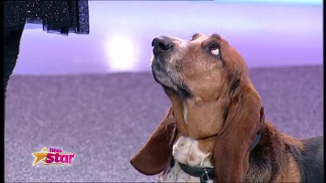 Și la „Ham Talent” ar fi făcut spectacol, dar a ales „Next Star”! Ioana Petrescu, număr de dresaj inedit! Ce adorabili sunt cățelușii ei!