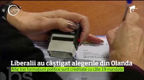 În Olanda, partidul premierului Mark Rutte a câştigat alegerile parlamentare