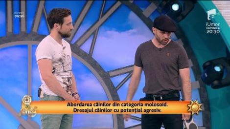 Cum îţi poţi dresa singur câinele. Cele mai utile sfaturi, direct de la specialiști. Cătălin Cornea, demonstrație live, la Neatza