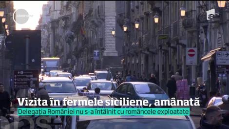 Vizita în fermele siciliene unde mai multe românce ar fi fost exploatate și abuzate, amânată. Italienii spun că nu e adevărat!
