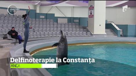 Vesti bune pentru tratarea copiilor cu diferite afecţiuni. La Constanţa s-a făcut primul pas pentru delfinoterapie