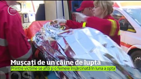 Trei persoane au fost muşcate de un câine de luptă într-o gospodărie din Filiaşi