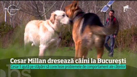Cesar Millan, cel mai îndrăgit dresor de câini din întreaga lume, a sosit la Bucureşti
