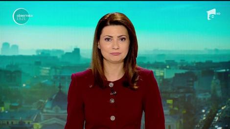 Acţiune amplă într-o pădure din Bacău pentru salvarea unui urs brun