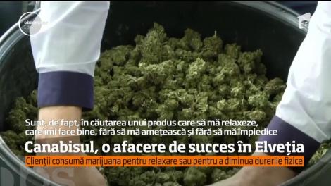 Antreprenorii elveţieni au descoperit o nouă afacere profitabilă comercializarea cannabisului