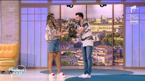 Primul membru pisicos din familia Ristei! Bozo, motanul timid: "L-am adus să îl fac râs la TV"