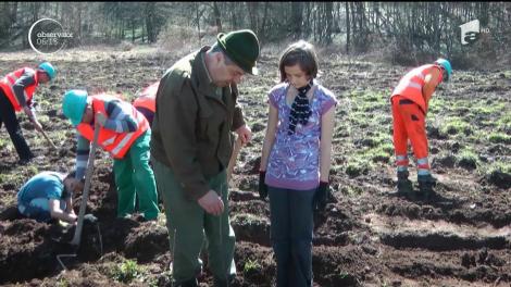 Pădurile tăiate de adulţi sunt, acum, replantate de copii!