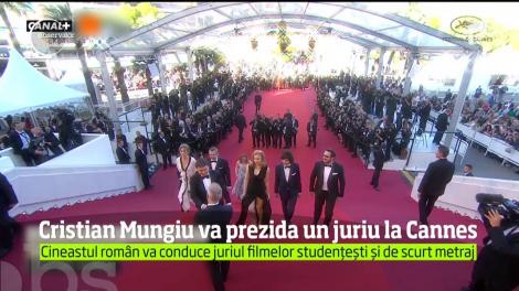 Cristian Mungiu a fost ales pentru o funcţie importantă la a 70-a ediţie a festivalului de la Cannes, care va avea loc în luna mai